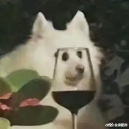 魔道同人歌曲百度云