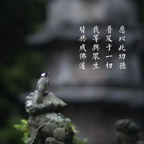 佛教对寿命的看法