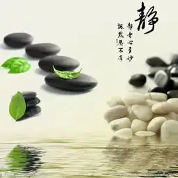 梅灵花开,一路惊喜