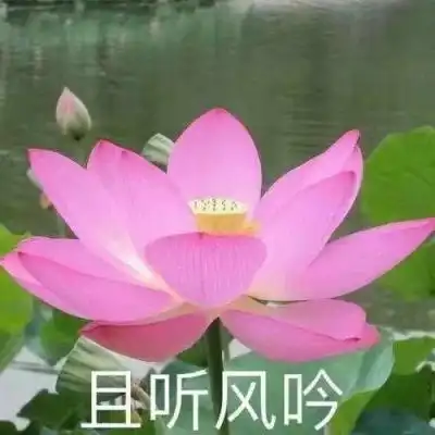 爱游戏app真人下载