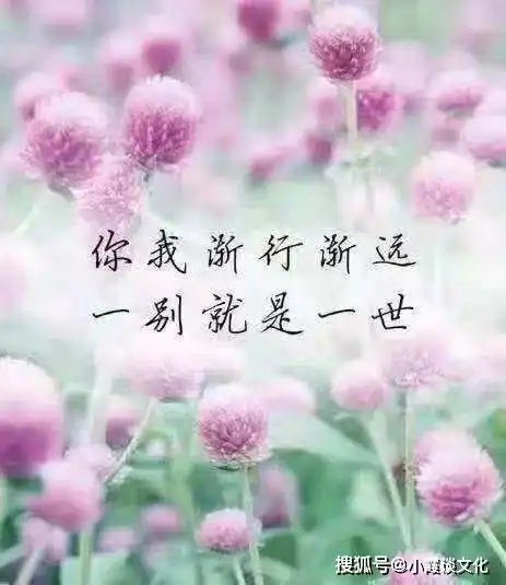超级扎心的伤感说说,句句扎心扎肺,看哭有故事的人