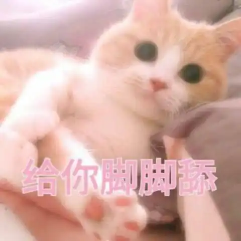 表情小奶猫给你jiojio舔,表情包今天是可爱崽崽,嘻嘻嘻表情