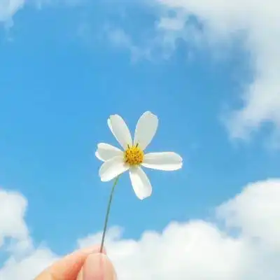 ope体育apk