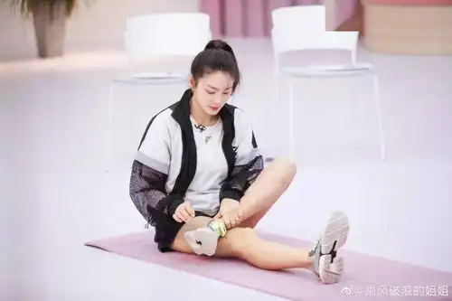 乘风破浪的姐姐谁穿了最贵的球鞋反正不是黄晓明...