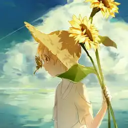 纯歌单网易云音乐