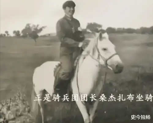 1997年白龙马受尽磨难惨死马棚,杨洁导演2次探望,为何不救它