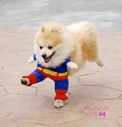 超狗