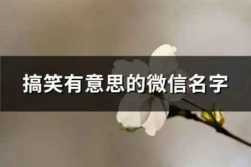 搞笑有意思的微信名字共177个