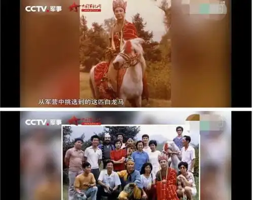为什么白龙马会受尽欺凌,最后尸骨无存深扒其背后的隐秘