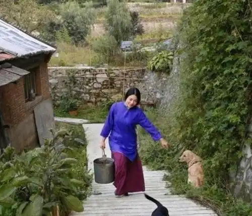 隐居终南山上的姑娘,还没有修道成仙,就败在了山上的高昂房租上