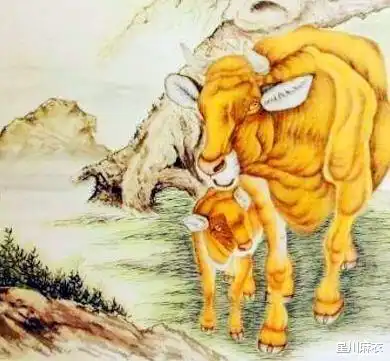 正月初一开始,有幸福围绕,赚钱不匆忙的3生肖,事业福星高照