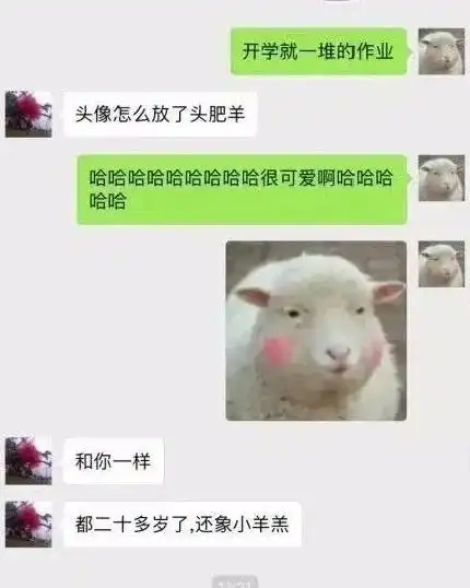 头像不好看,换了吧