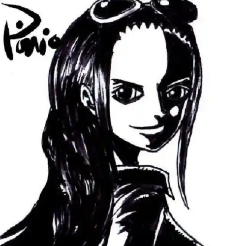 海贼王草帽全员恶人通缉令,娜美变邪恶美人,乌索普太搞笑