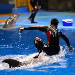 海洋馆里的原始森林,梦幻迷人亮点多