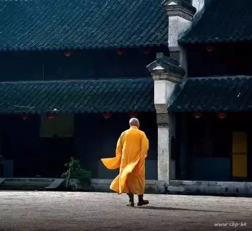 人生本过客,何必千千结