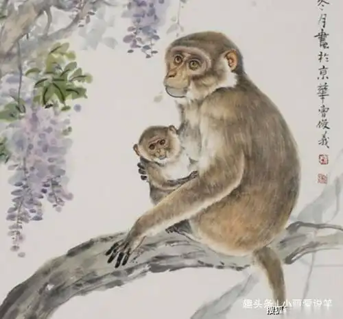 属猴人,未来几天好运将临,来看看吧