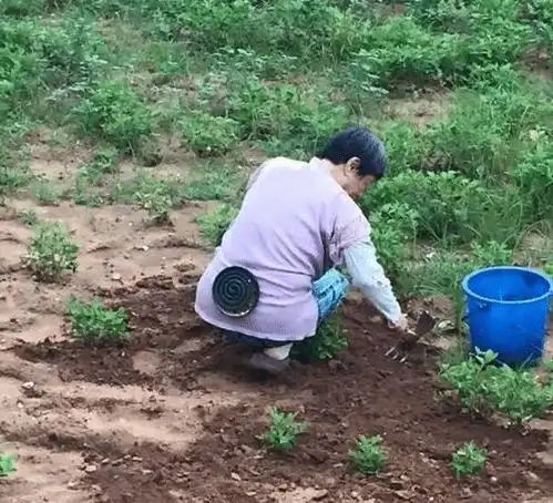 中年男人的微信头怎么做到统一的蓝天大海少了一个都不行