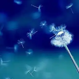 淡然