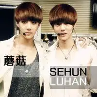 exo勋鹿和d.o.黄子韬,吴亦凡的图片