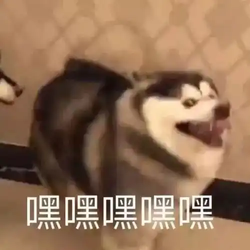 沙雕又可爱的朋友圈文案25