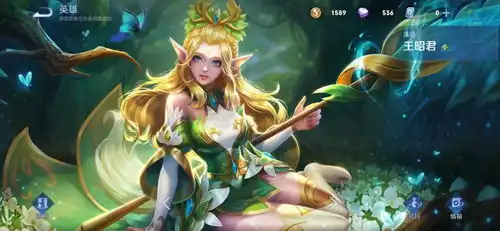 盘点王者那些超值的288皮肤
