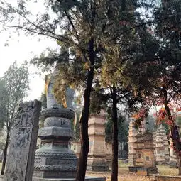 台湾青年访豫深度交流团