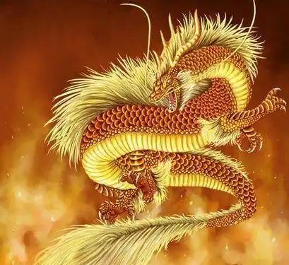 2019年生肖龙的婚姻好不好,幸福吗