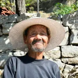 秋收的山中村石斑鸠