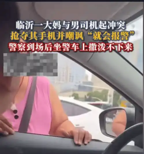 离谱大妈强夺花臂男手机坐警车上撒泼,引起网友热议