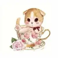 qq猫咪头像萌萌系猫咪图片qq头像