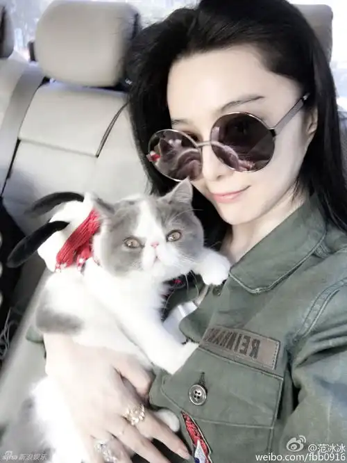 范冰冰成猫奴,李晨秀恩爱晒出行照