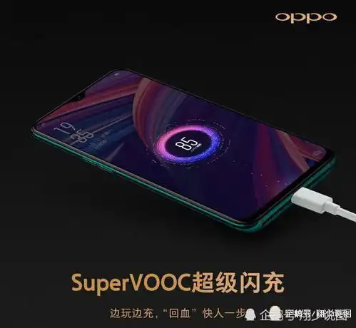 上王者的正确姿势oppor17pro王者定制版