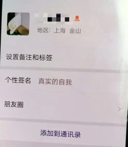 无标题