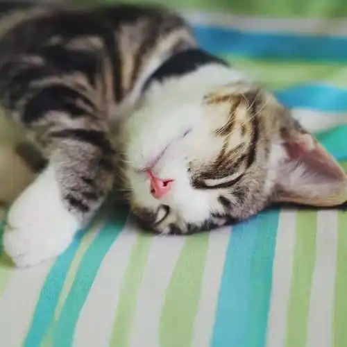 我猜测你的想法,你怀疑我的心