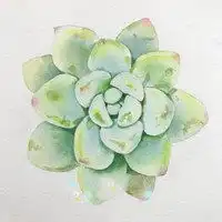 好看又简单的水彩画头像微信头像图片大全