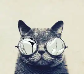 谁能帮我找到这张戴眼镜的猫的图片,一样的