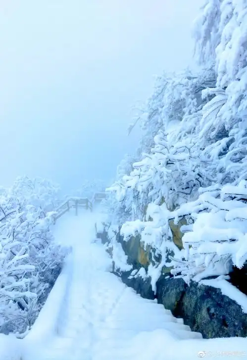 瑞雪兆丰年嵩山禅院雪景