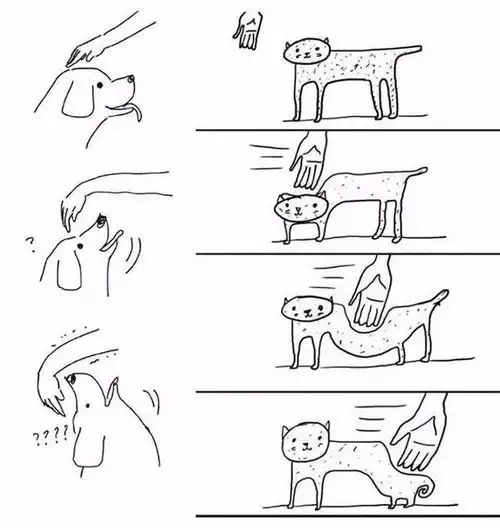 养猫vs养狗,沙雕漫画对比,简直太真实了