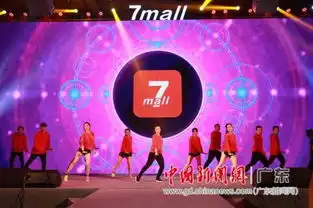 爱心企业在深捐百万元支持中国广场舞排舞事业健康发展