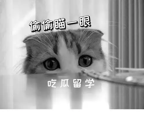 英国留学生本科没毕业回国发展寸步难行,如何解决就业难题