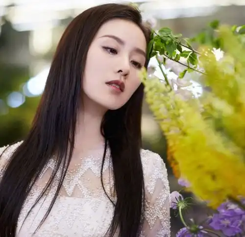 刘亦菲我长得真像黄圣依,刘诗诗那我走