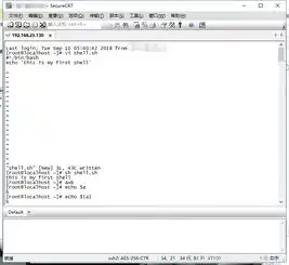 linux与shell脚本编程远程连接软件crt与shell脚本相关知识解释器,vi编辑器,文件权限与执行方法