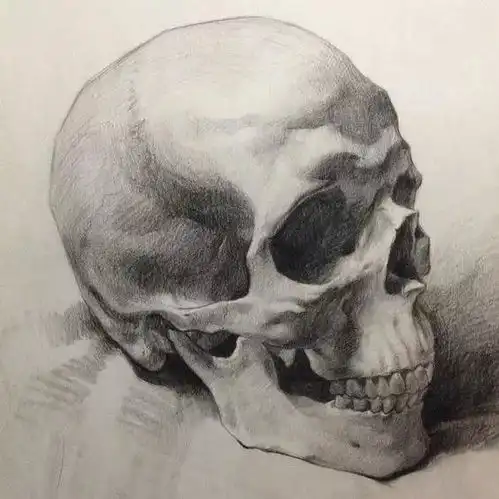 素描结构决定着画面物体的内部核心,美术生们认同么