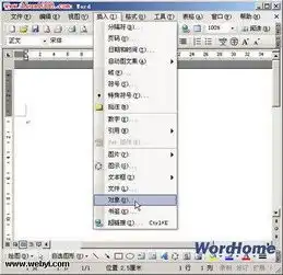 word中使用公式编辑器编辑数学公式