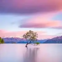 qq自然风景头像