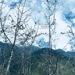 走一段有温度的路第二季