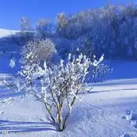 关于冰雪的头像唯美冰雪世界微信头像