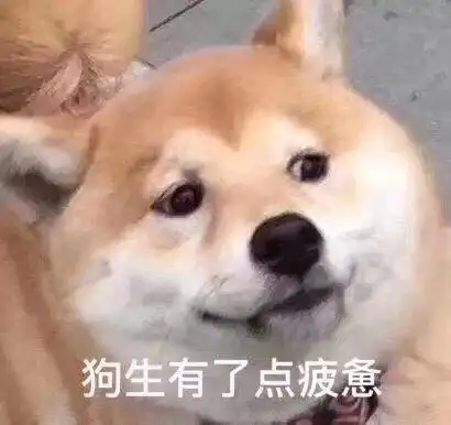 5.20专篇异地恋很难熬这对异地情侣的恋爱历程告诉你答案