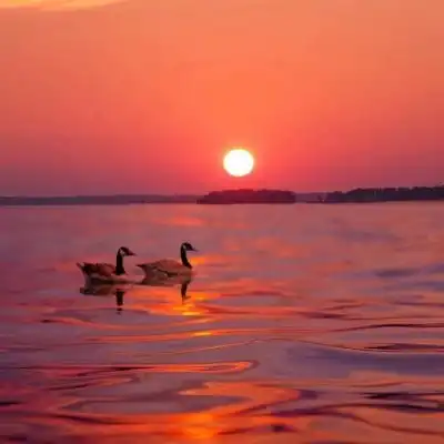 唯美意境夕阳风景头像美图,火红的太阳火烧云