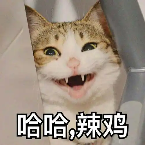你有哪些我们不一样的经历